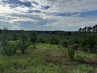 275 Lewis Ln, Cairo, GA 39828