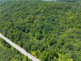 7080 Conesus Springwater Rd, Conesus, NY 14435