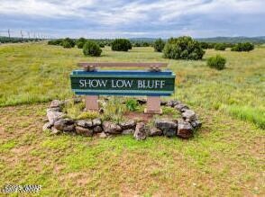861 S Ridgeway Place, Show Low, AZ 85901