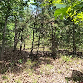Lot 2 Reynolds Island Cove, Elizabeth, AR 72531