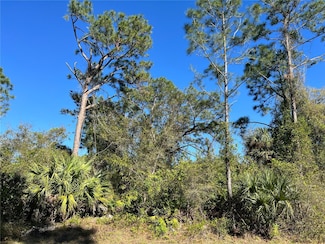 0 Fears St Unit MFRN6137817, North Port, FL 34288