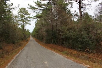 0 Landrum Rd, Lumberton, MS 39455