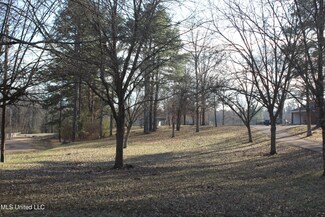4299 Byhalia Rd, Hernando, MS 38632