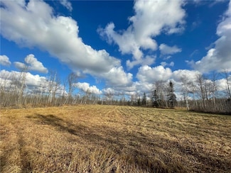 TBD County Road 132, Kettle River, MN 55757