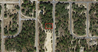 3119 W Redgate Dr, Pine Ridge, FL 34433