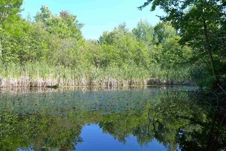 0000 Carey Rd, Cheboygan, MI 49721