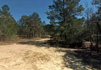2907 Hillery St, Inverness, FL 34452