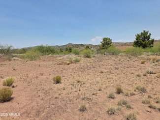 12280 S Caballo Terrace Unit 350, Mayer, AZ 86333