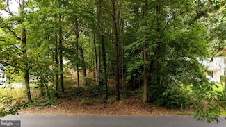 BLACKWATER VLG LOT 1 Indian Queen Ln, Dagsboro, DE 19939