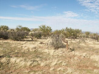 14890 W Lost Valley Loop, Three Points, AZ 85736