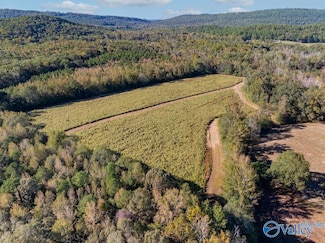 5395 Fairview Cove Rd, Altoona, AL 35952