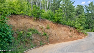 Lot 48 Spurling Rd, Sevierville, TN 37862