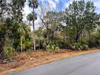 6250 S Banyon Dr, Homosassa, FL 34448