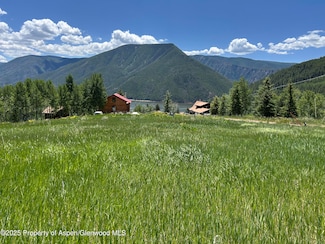 1239 Mclaughlin Ln, Basalt, CO 81621