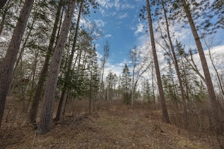 TBD N Bass Lake Dr NE, Thunder Lake Township, MN 56672