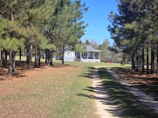 11091 County Road 65, Abbeville, AL 36310