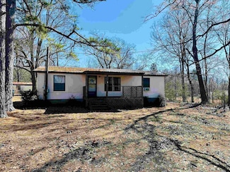 535 Hamburg Rd, Michie, TN 38357