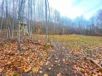 0 Standing Rock Rd, Guernsey, OH 43749