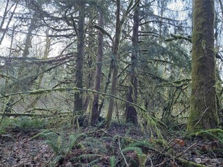 22222 Zyman Rd, Darrington, WA 98241