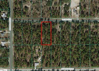 Lot 21 Mango Ln, Dunnellon, FL 34431