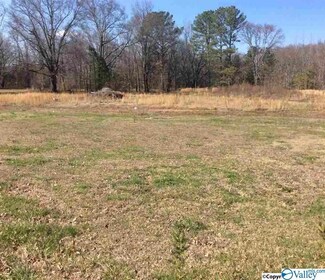 2 Hays Mill Rd, Elkmont, AL 35620
