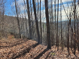 6900 Mertie Rd, Wilbar, NC 28651