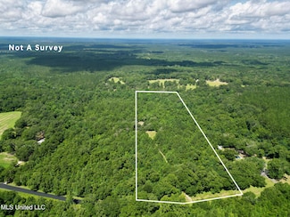 Tract 1 Gumpond Beall Rd, Lumberton, MS 39455