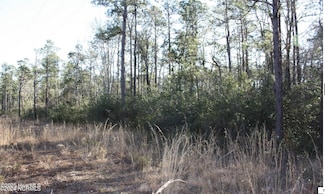 2766 George II Hwy SE, Southport, NC 28461