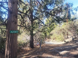 52547 Pine Cove Rd, Idyllwild-Pine Cove, CA 92549