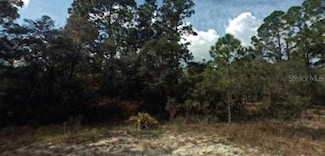394 Showboat Ave, Lake Placid, FL 33852