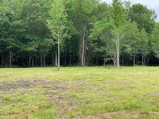 000000 Lemay Rd, Austin, AR 72007