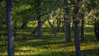 6125 Fm535, Cedar Creek, TX 78612