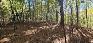 27 Foster, Lafayette, GA 30728