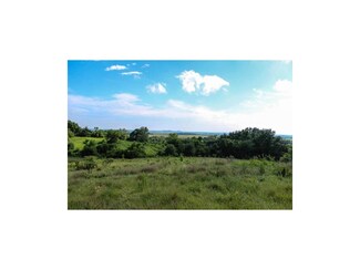 TBD T Hwy, Orrick, MO 64077