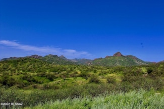 TBD Muledeer Dr Unit 110, Rio Rico, AZ 85648