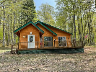 6824 County Road 417, McMillan, MI 49853