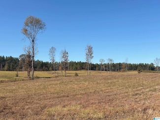 3679 Chelsea Rd, Columbiana, AL 35051