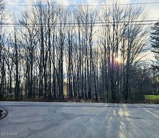 0 Luteran Ln, Poland Township, OH 44514