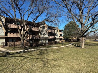 13 Echo Ct Unit 10, Vernon Hills, IL 60061