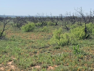0 Cedar Creek Rd Unit 25-4330, Valle de Oro, TX 79010