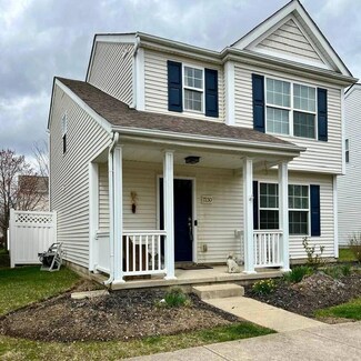 7230 Winterbek Ave, New Albany, OH 43054
