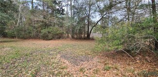 1221 Louisiana 1088, Mandeville, LA 70448