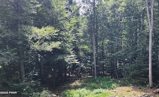 0 Ness Rd, Porter Township, PA 18328