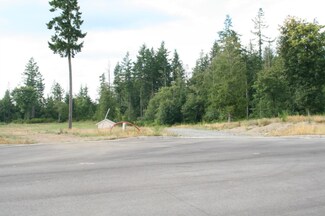 111 Hopkins Rd, Carbonado, WA 98323
