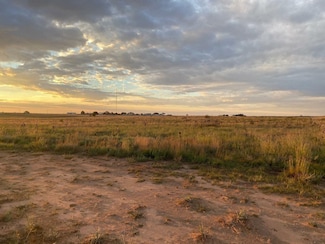0 E Ellis Unit 202552382, Smyer, TX 79367