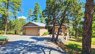 102 Grapevine Ct, Alto, NM 88312