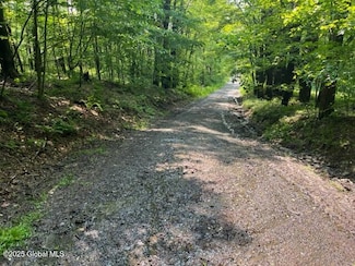L2.1 Pope Hill Rd, Columbus, NY 13411