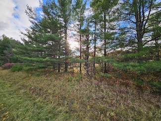 20 Acres Deerhaven Rd, Alger, MI 48610