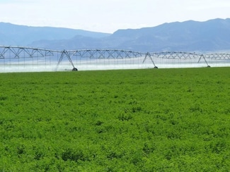 7000 Dixie Valley Rd, Lovelock, NV 89419