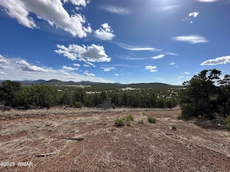 0 N3135, Vernon, AZ 85940